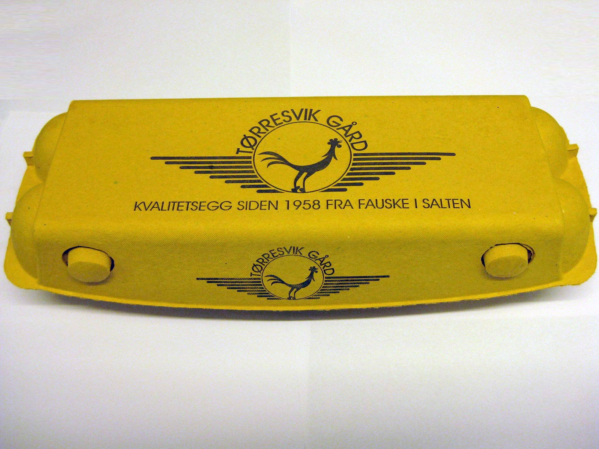 Tørresvik Egg 12 Pk m Frittgående