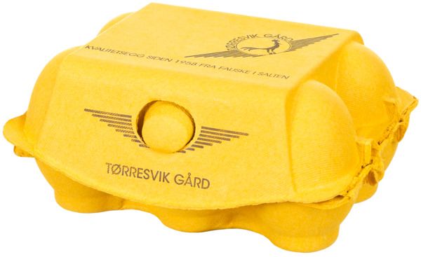Tørresvik Egg 6 Pk m.F Frittgående