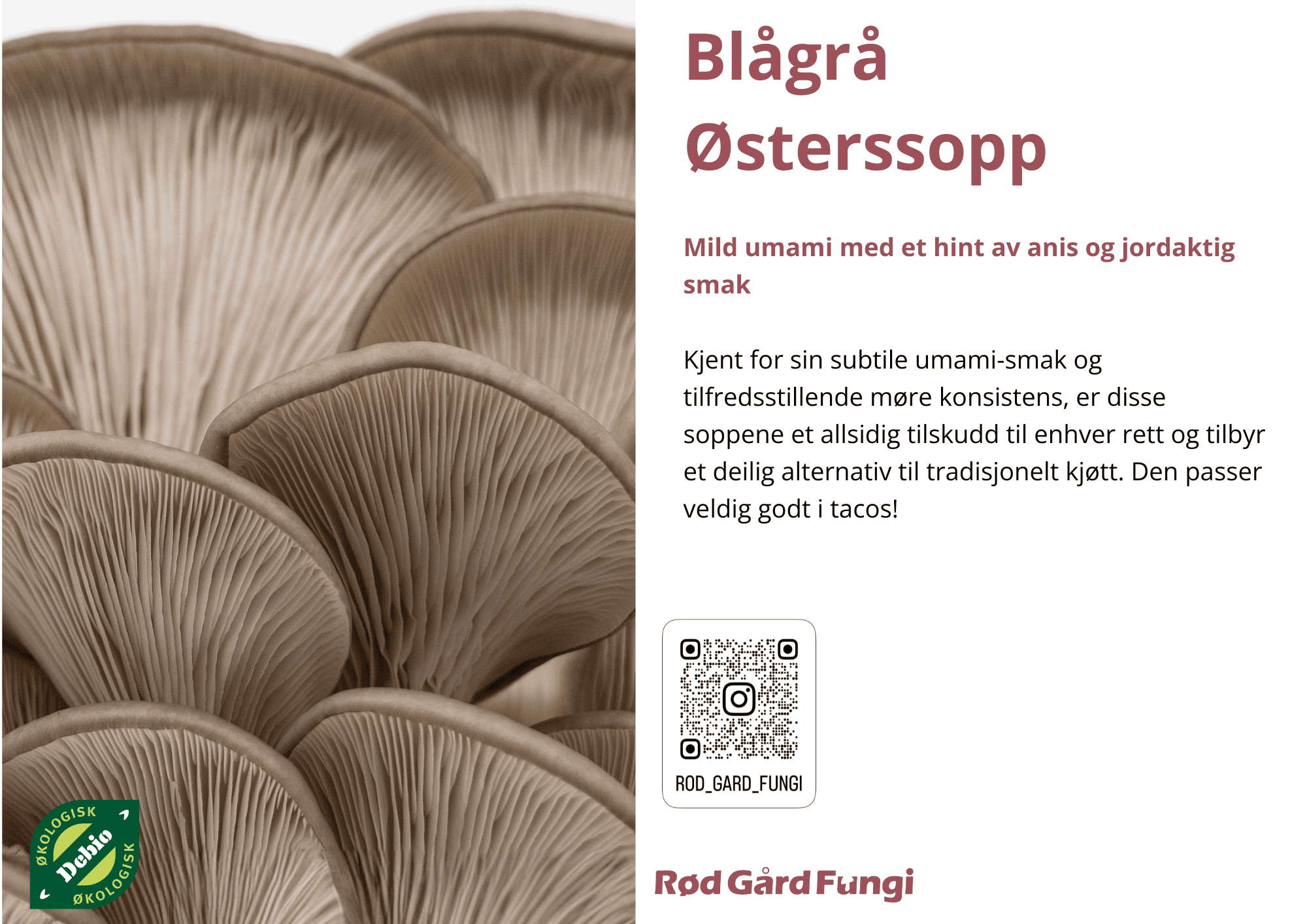 Lokalmat R d G rd Fungi AS