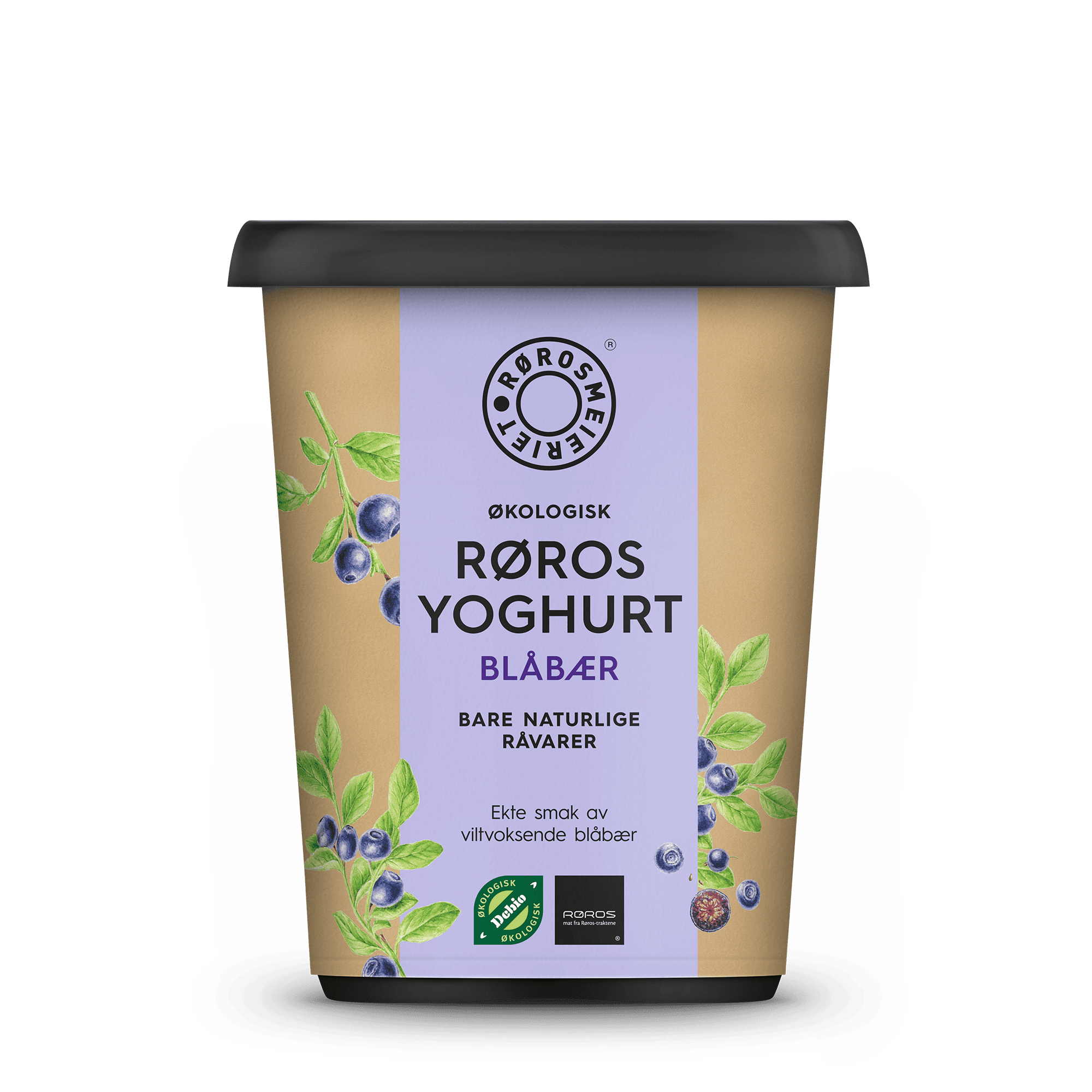 Øko Røros Yoghurt Blåbær