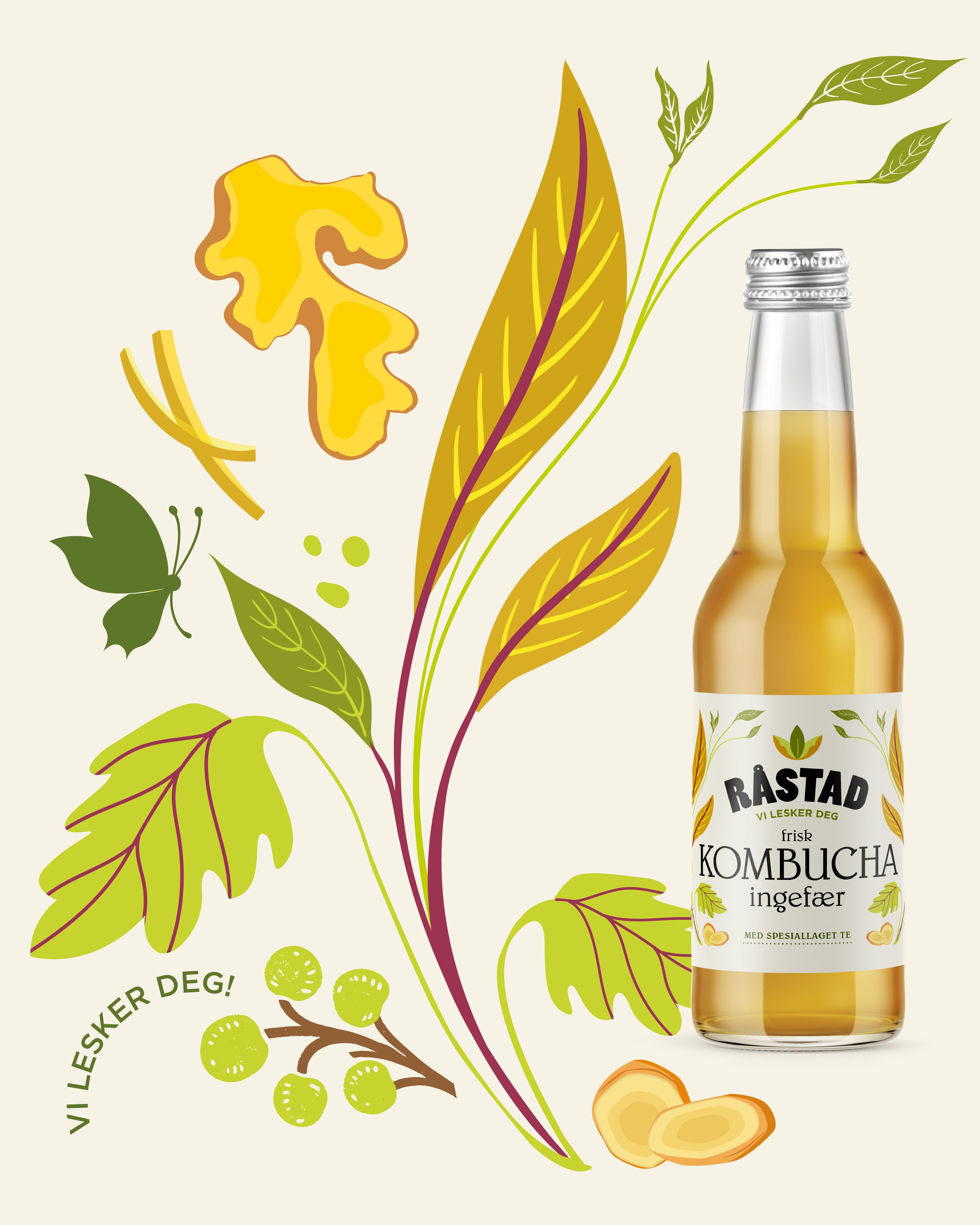 Illustrasjonsbilde - Råstad kombucha Ingefær