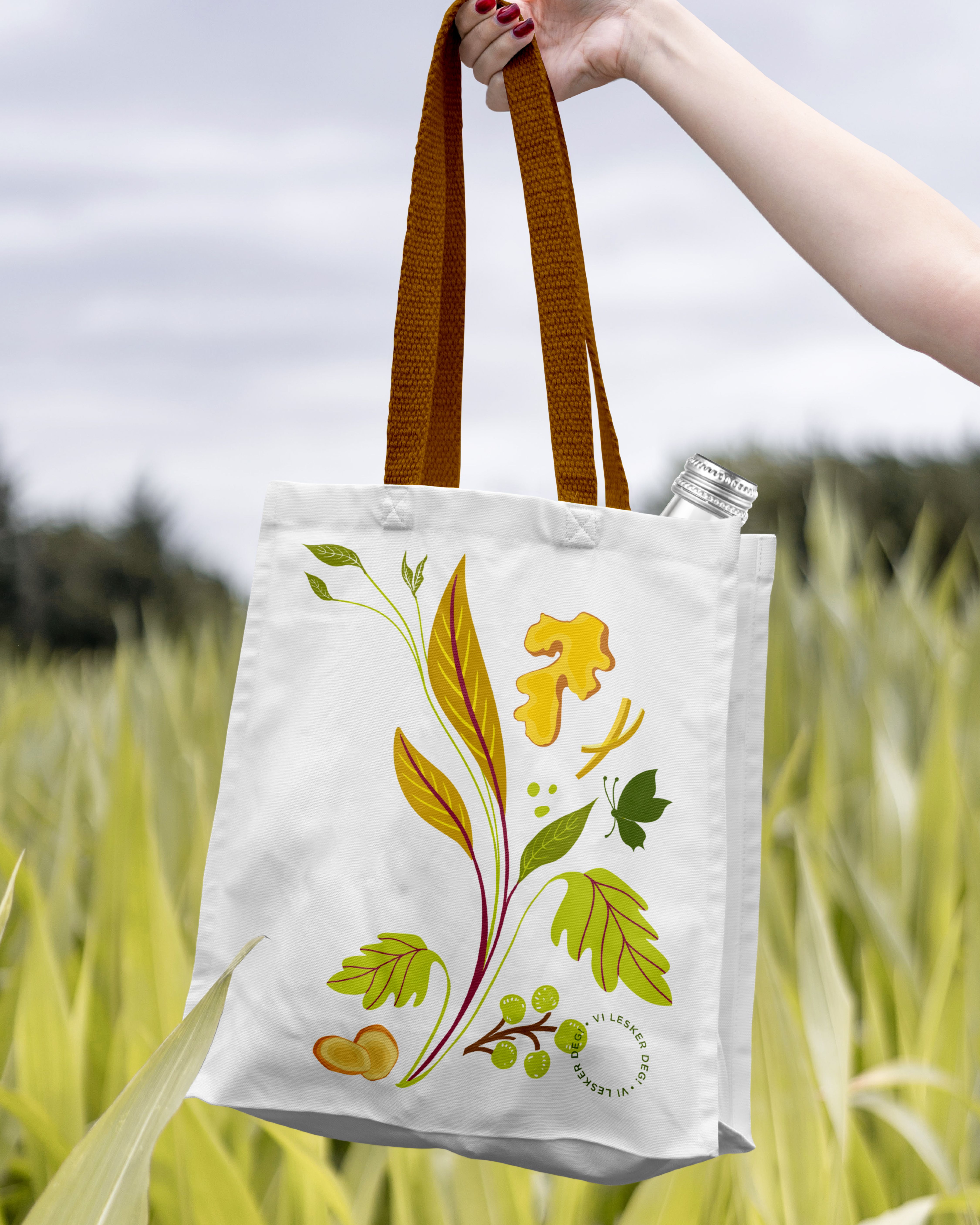 Illustrasjonsbilde - Råstad kombucha Ingefær