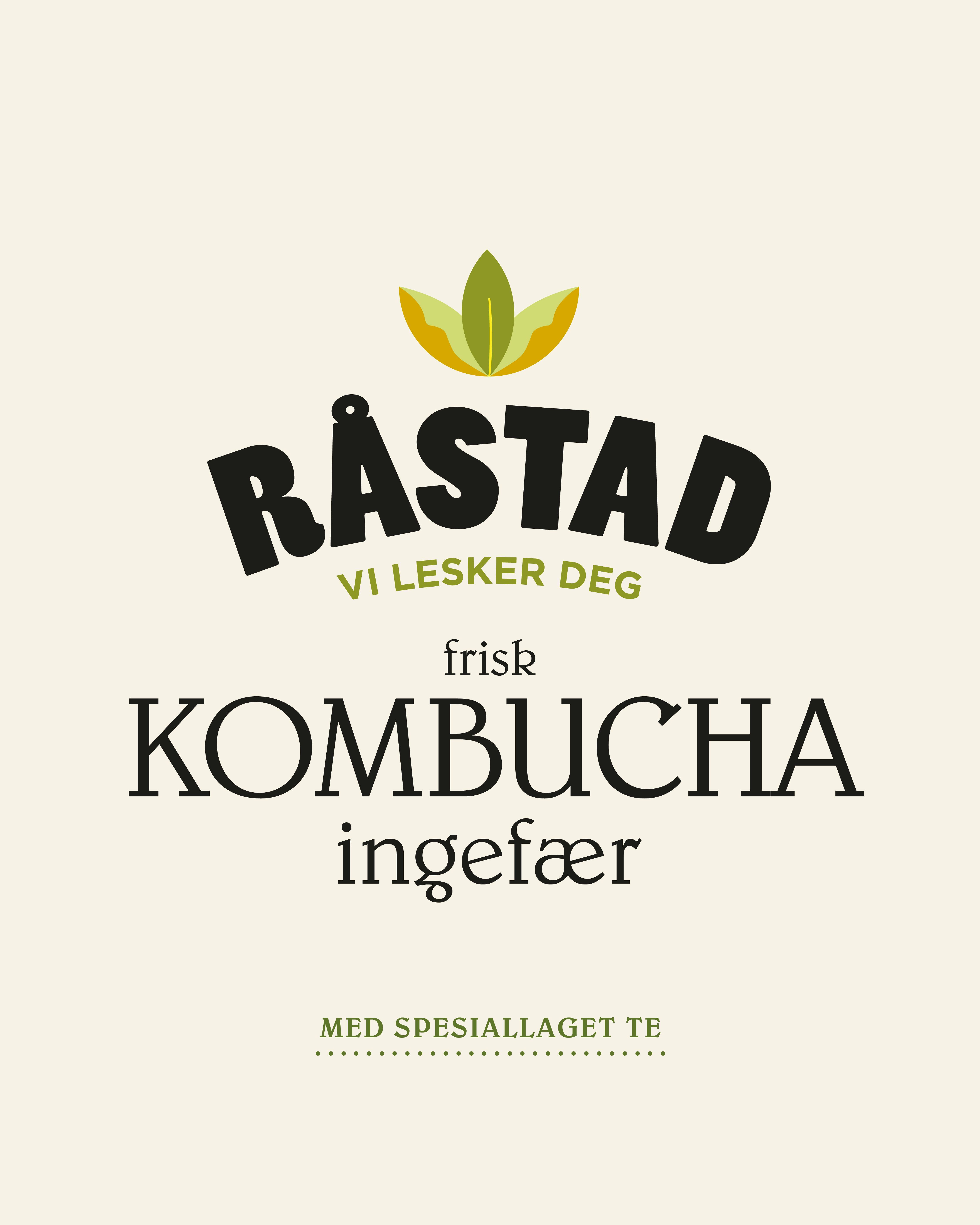 Illustrasjonsbilde - Råstad kombucha Ingefær