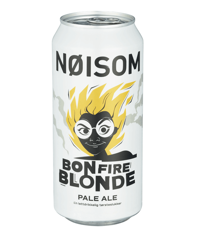 Nøisom Bonfire