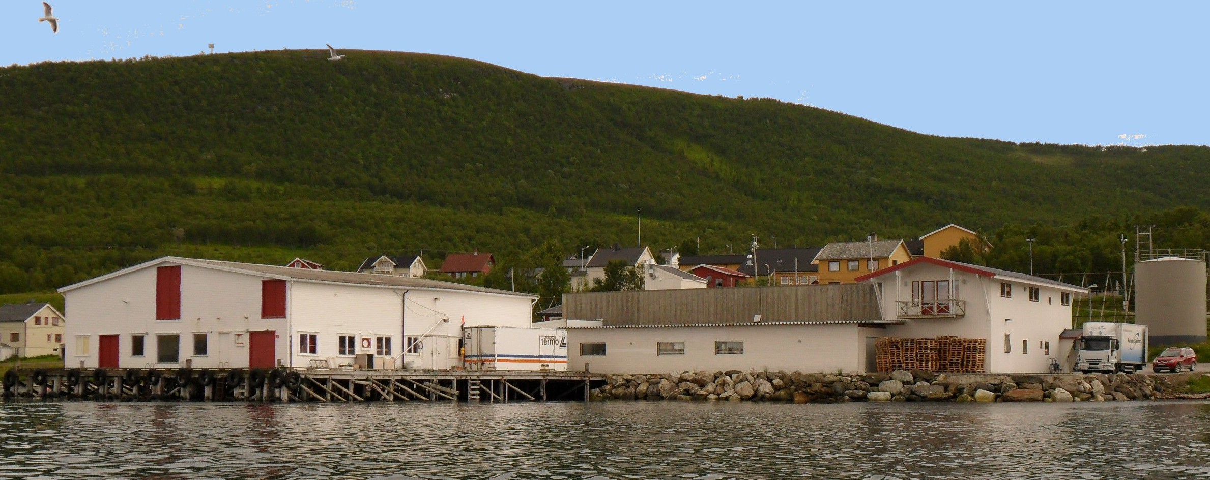 Reinøy Sjømat AS