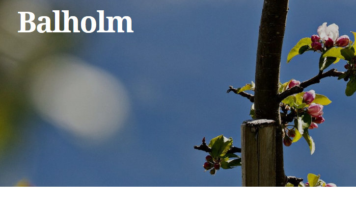 Balholm