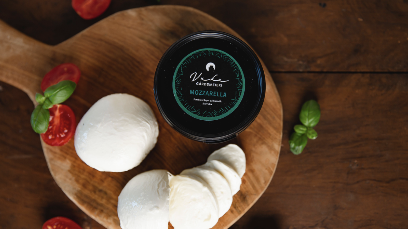 Illustrasjonsbilde - Mozzarella