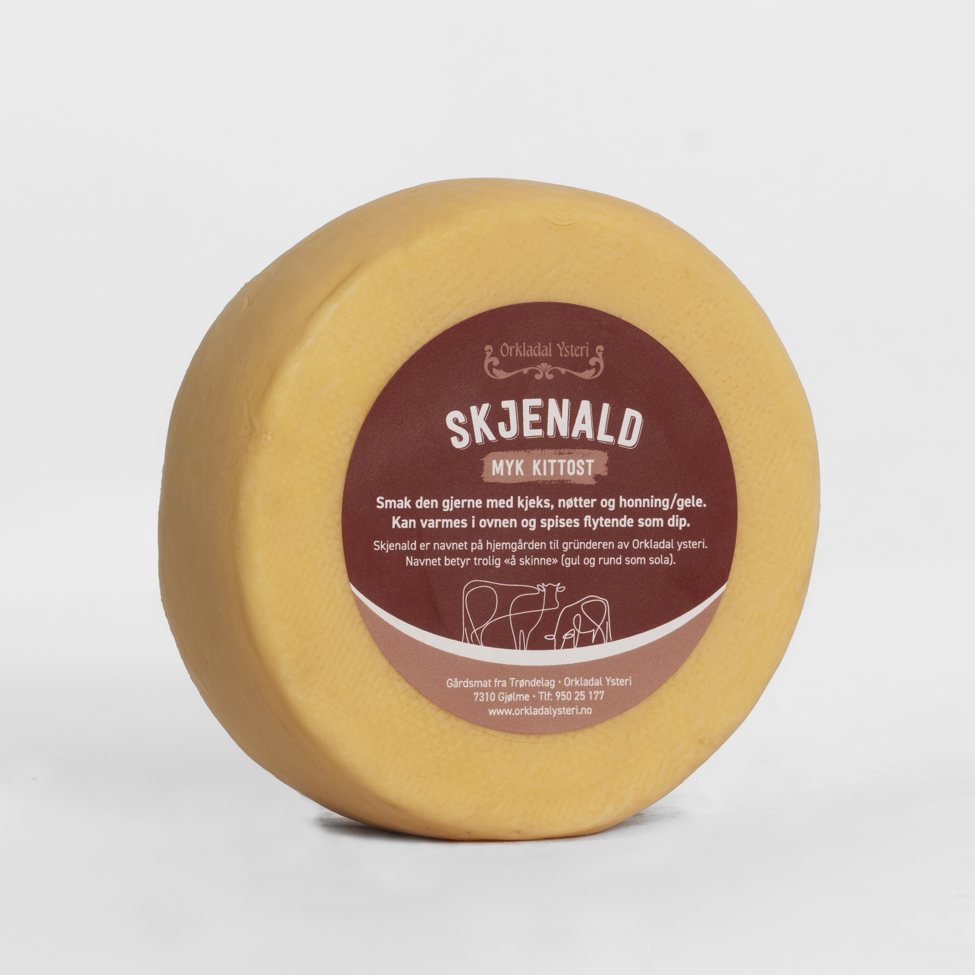 Illustrasjonsbilde - Skjenald