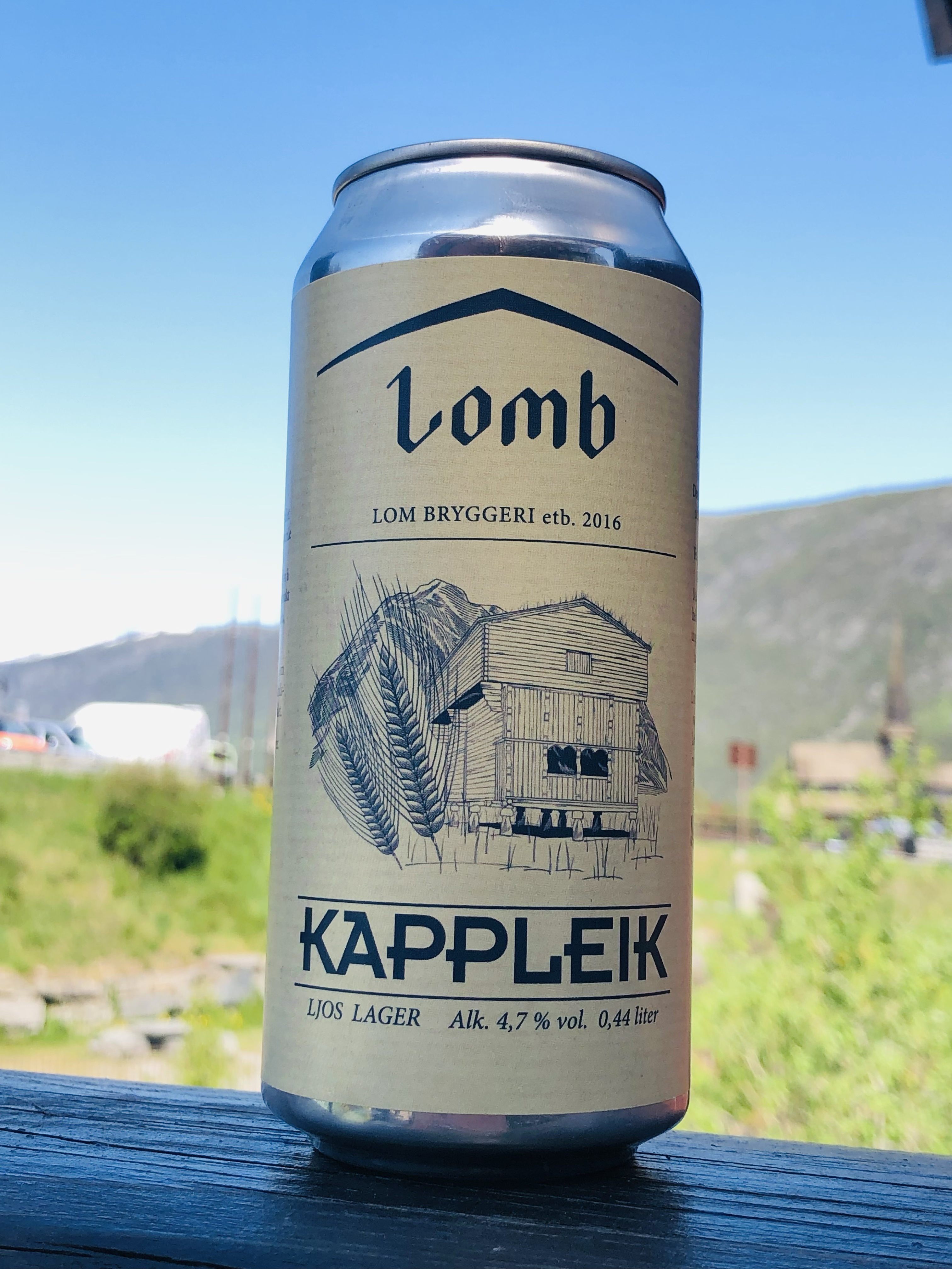 Illustrasjonsbilde - KAPPLEIK 