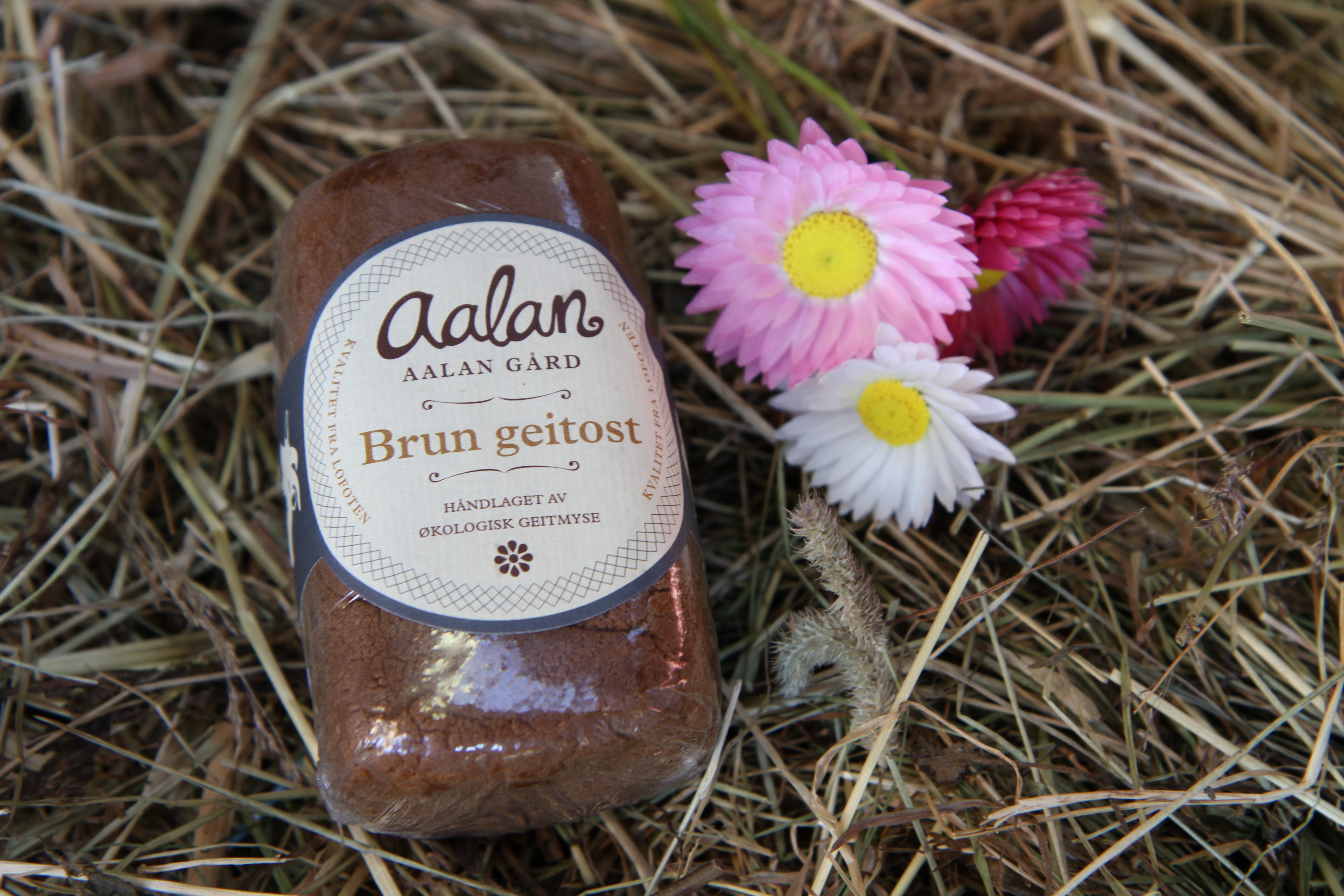 Illustrasjonsbilde - Brun geitost