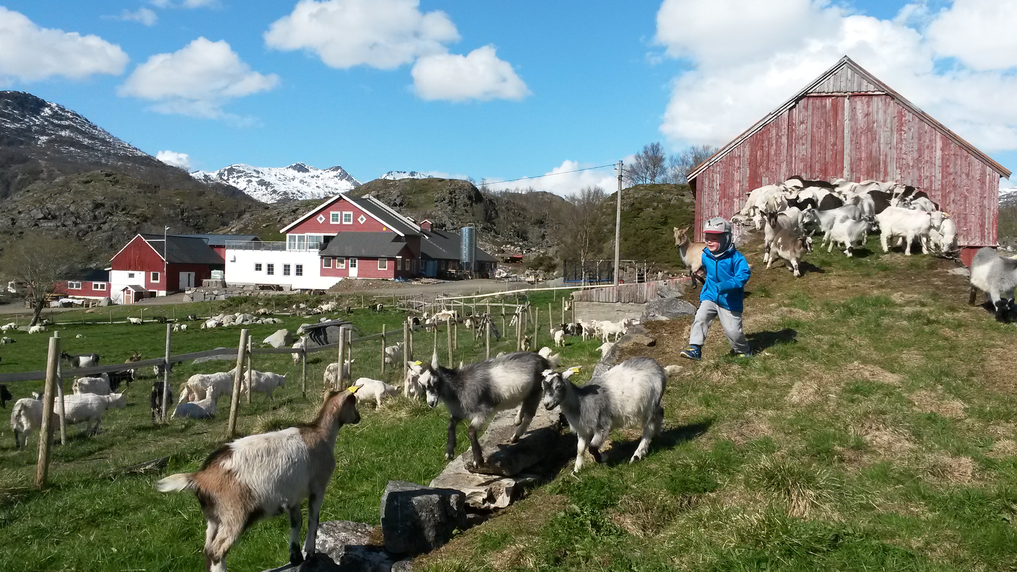 Illustrasjonsbilde - Den Sorte Gryte Ysteri & Gårdsmat
