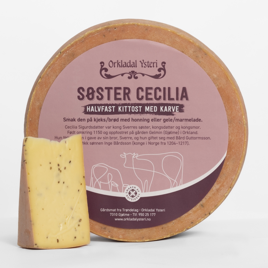 Illustrasjonsbilde - Søster Cecilia