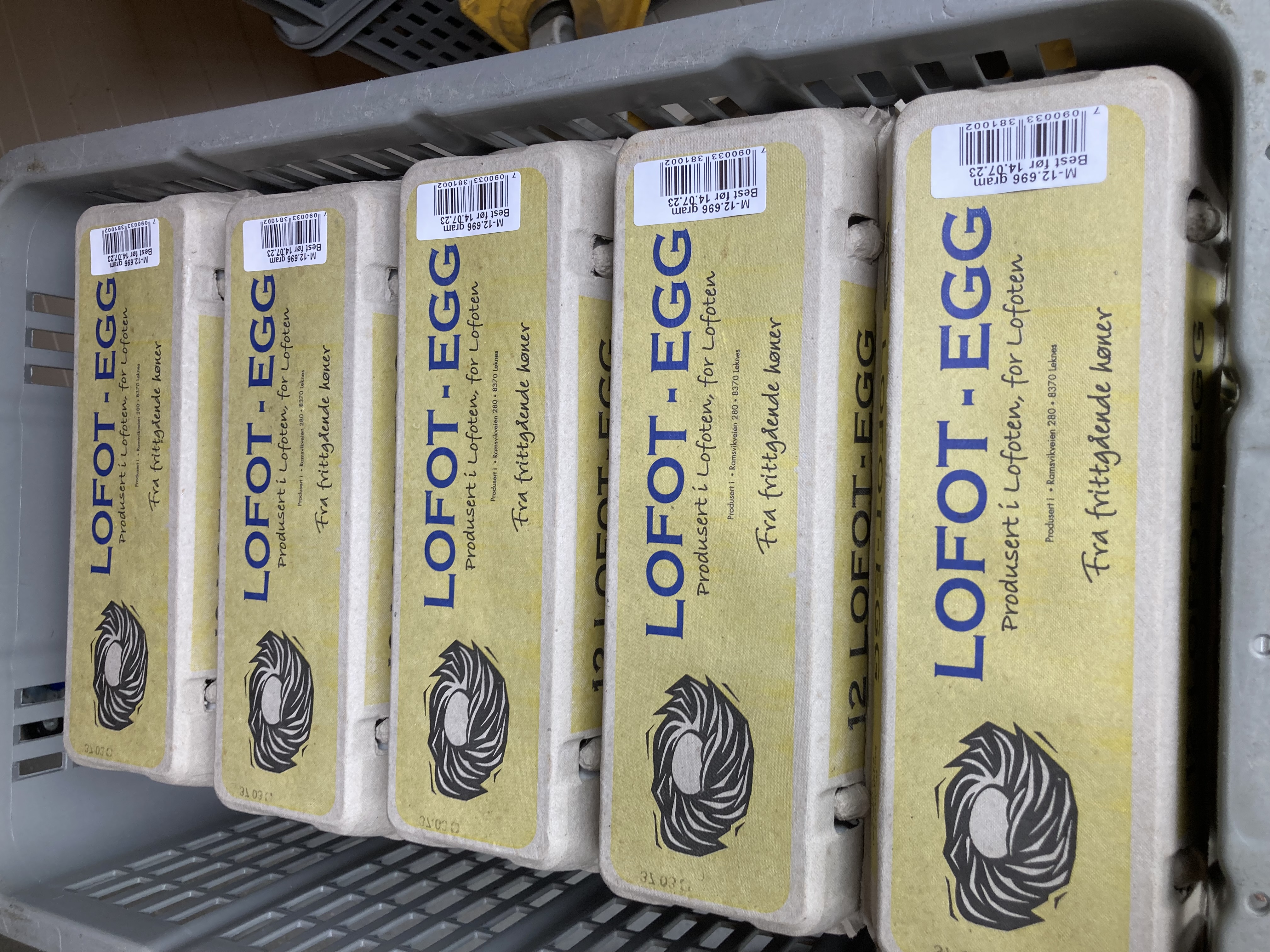 Illustrasjonsbilde - Lofot-egg