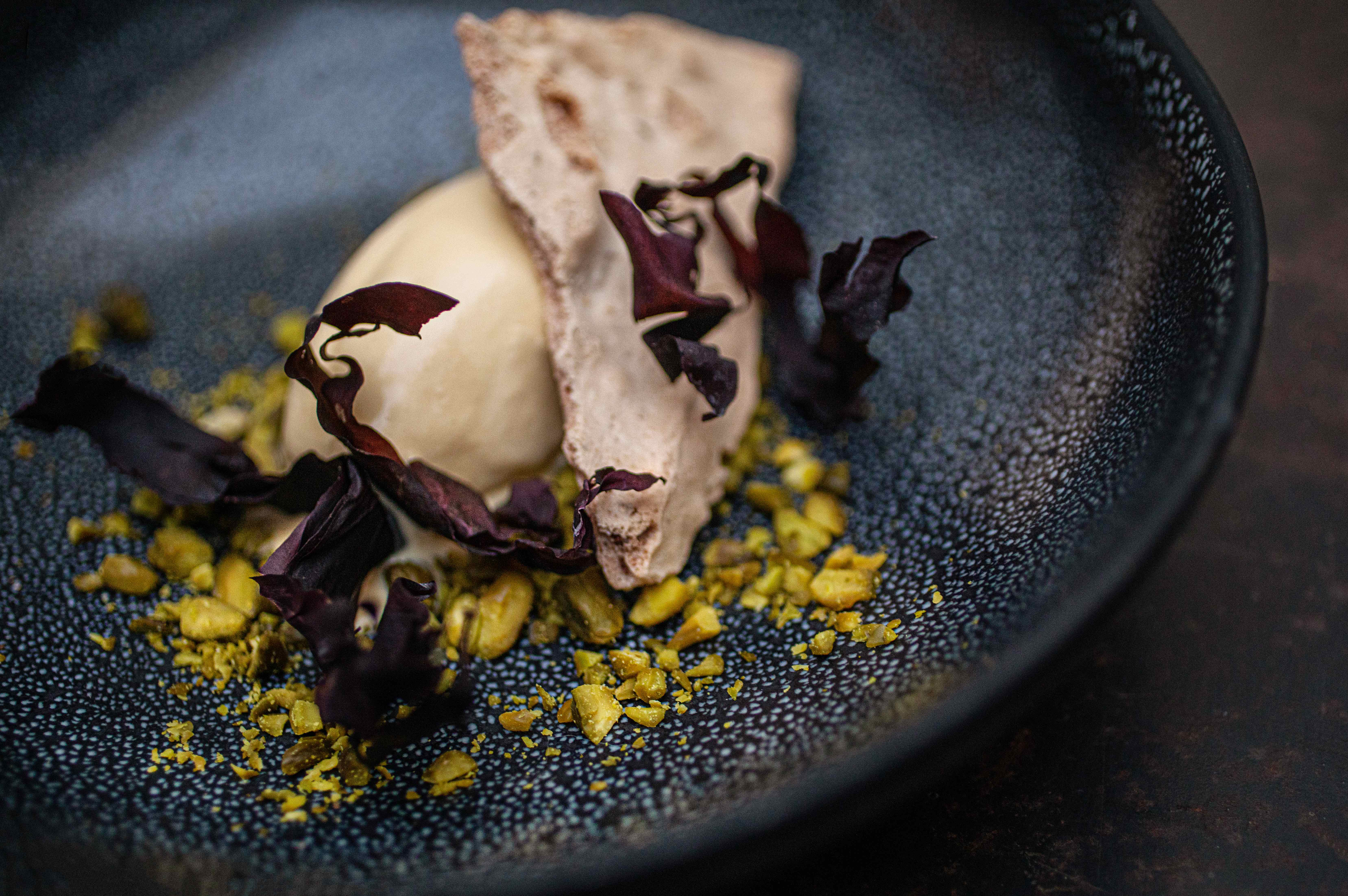 Bilde-2 Søl / Dulse 