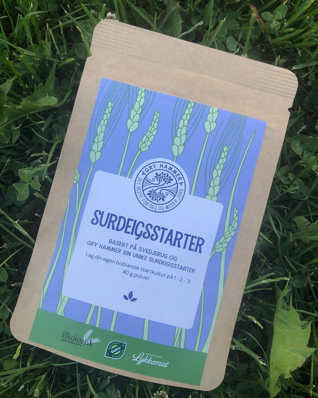 Illustrasjonsbilde - Surdeigstarter Gry Hammer 40 g pulver