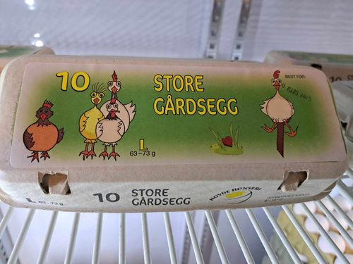 Illustrasjonsbilde - 10 pk egg L