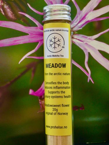 Illustrasjonsbilde - Meadow Arctic Matcha