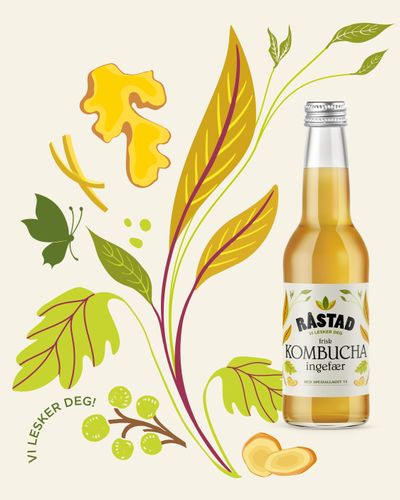 Illustrasjonsbilde - Råstad kombucha Ingefær